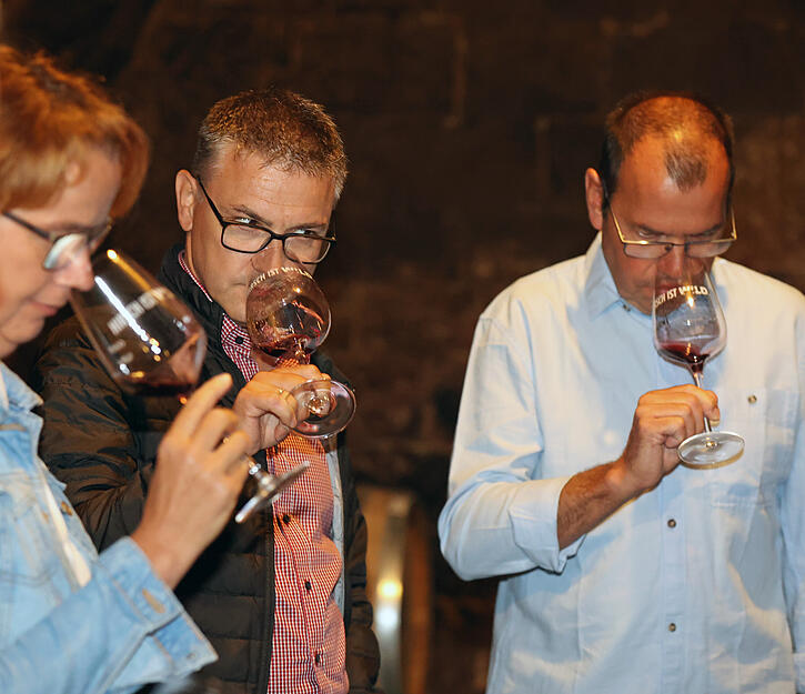 Lesersommer im Weingut Hirsch