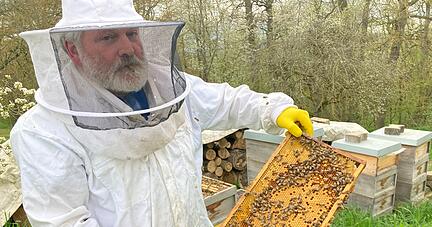 Bernhard Aigner hat in diesen Tagen alle Hände voll zu tun. Der Adelshofener ist Bienensachverständiger für Eppingen mit teilorten (außer Kleingartach), Kirchardt, Ittlingen und Gemmingen.
Foto: Jörg Kühl