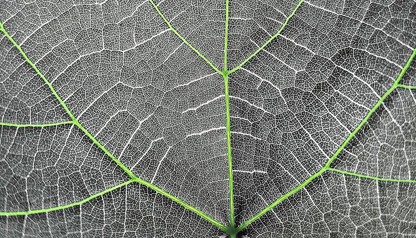 Schaeffler illustriert seinen Nachhaltigkeitsbericht inzwischen konsequent in der Markensprache: Gr&uuml;n macht den Unterschied.
Schaeffler