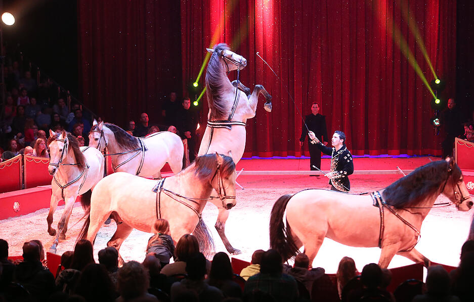 Premiere Heilbronner Weihnachtszirkus