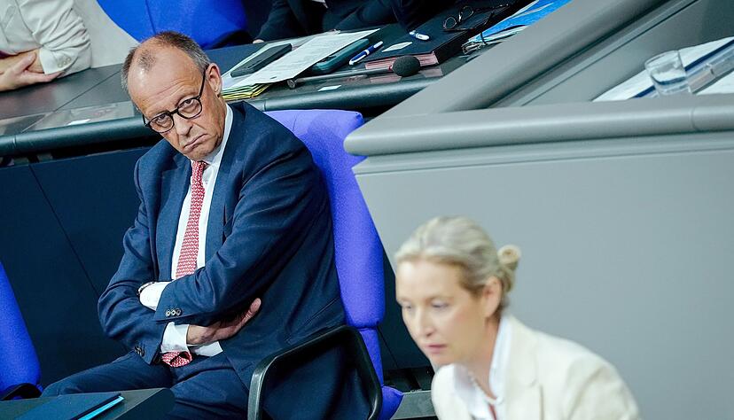 Merz und Weidel liefern sich einen heftigen Schlagabtausch.