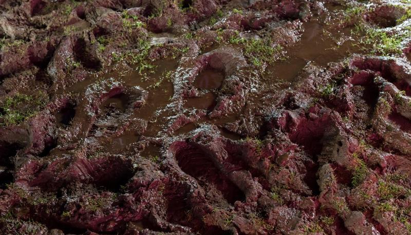 Matsch statt Rasen: Der Platz im Frimo Stadion in Lotte ist unbespielbar. Foto: Guido Kirchner