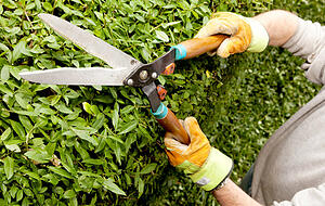 Arbeit an der Hecke, psychologisch wohl noch unterschätzt. Foto: dpa Arbeit an der Hecke, psychologisch wohl noch unterschätzt. Foto: dpa