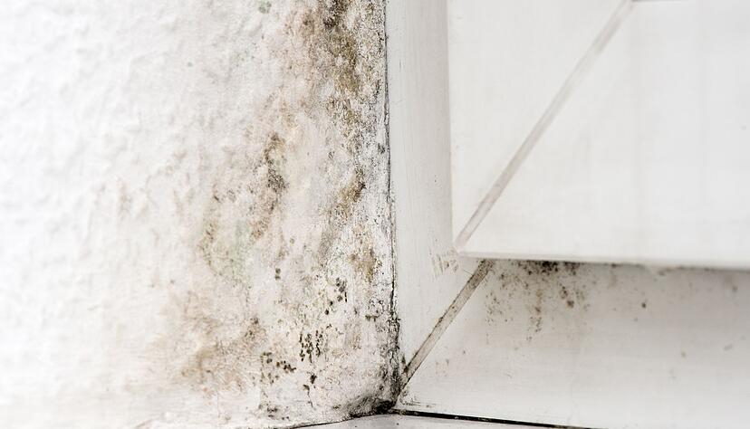 Das Ergebnis falschen Heiz- und L&uuml;ftverhaltens? Diese Frage ist entscheidend, wenn es darum geht, wer in der Mietwohnung f&uuml;r die Beseitigung des Schadens zahlt.