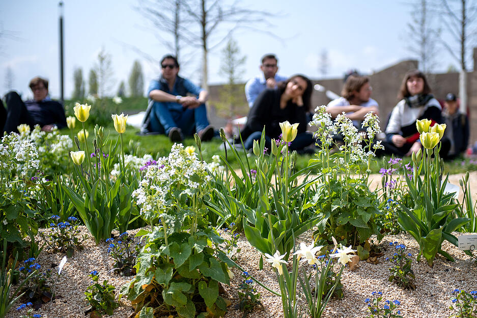 Ein Päuschen in der Sonne war am Nachmittag doch noch möglich.