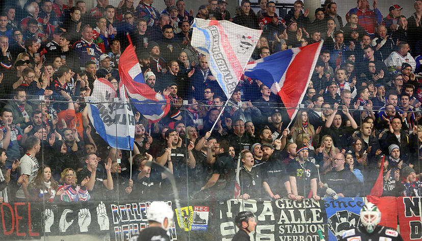 Falken: Start der Playoffs