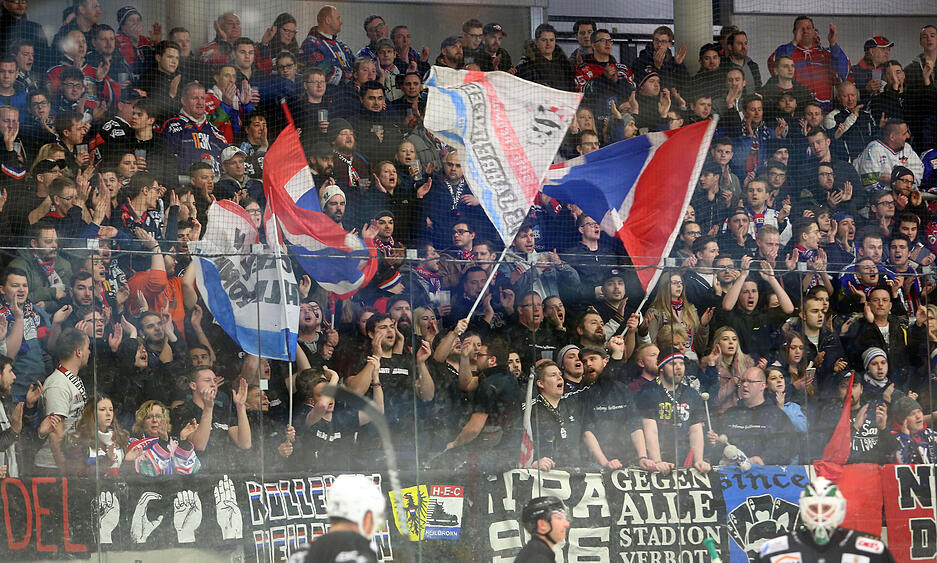 Falken: Start der Playoffs