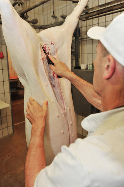 Hausschlachtung | 04.10. Hausschlachtung | 04.10.