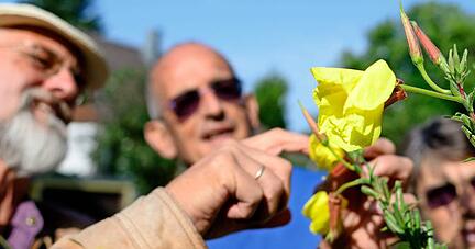 Naturschützer Gottfried May-Stürmer gab dem Geddelsbacher Klaus Scheer vor zweieinhalb Jahren Tipps, wie der seinen Garten zum Rückzugsort für gefährdete Tierarten machen kann. Foto: Christian Gleichauf Naturschützer Gottfried May-Stürmer gab dem Geddelsbacher Klaus Scheer vor zweieinhalb Jahren Tipps, wie der seinen Garten zum Rückzugsort für gefährdete Tierarten machen kann. Foto: Christian Gleichauf