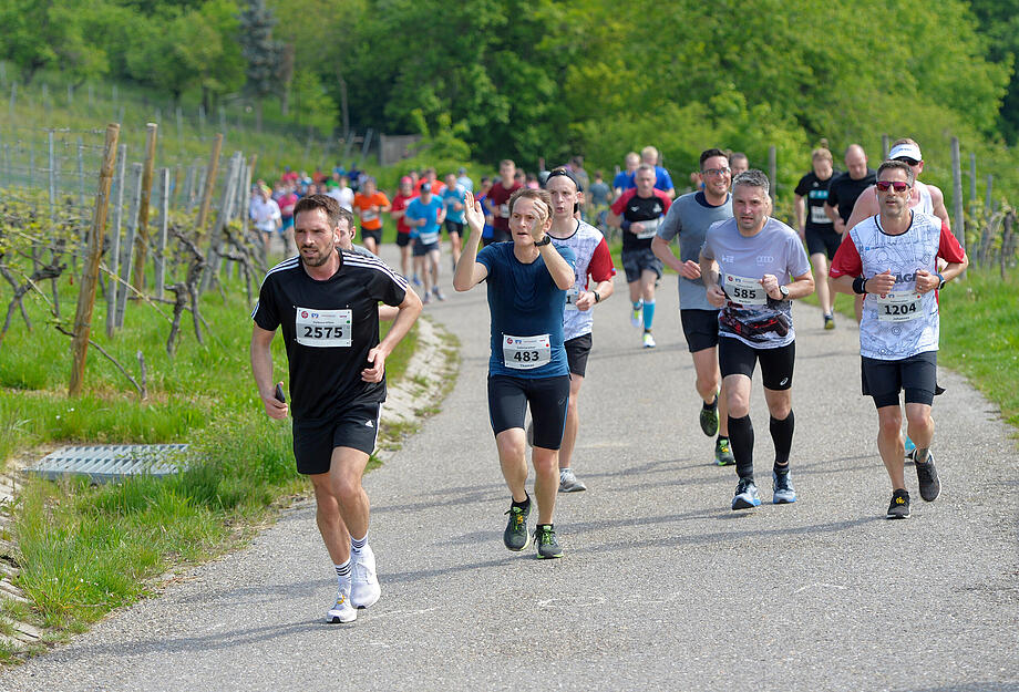20. Trollinger Marathon - ab durch die Weinberge