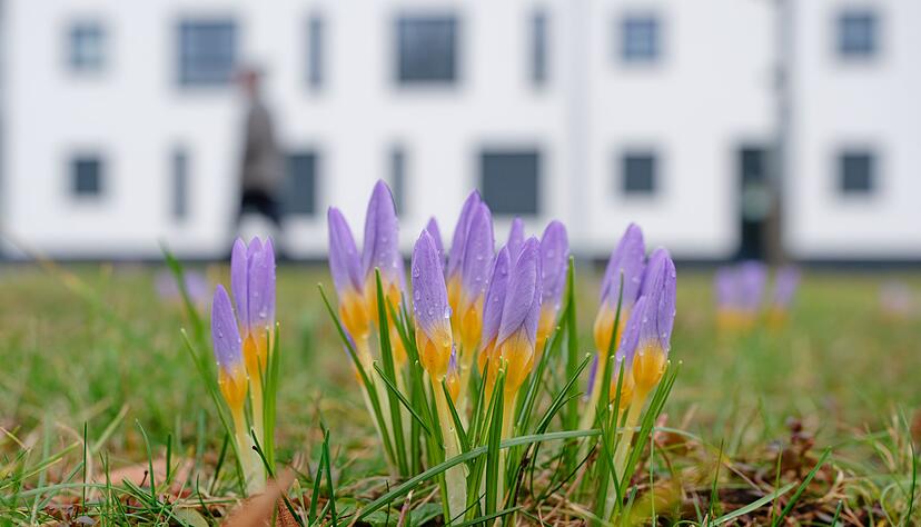 Langsam erhält der Frühling Einzug. (Archivbild) Langsam erhält der Frühling Einzug. (Archivbild)