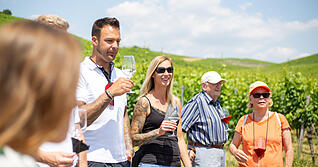 Beim Tourismus im Heilbronner Land und in Hohenlohe spielt der Wein eine immer wichtigere Rolle.