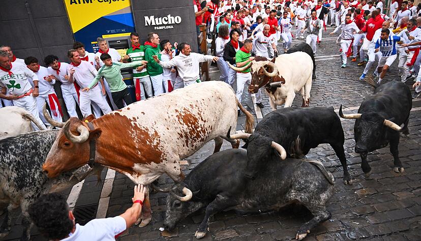 Auch dieses Jahr protestierten Tierschutzgruppen gegen die traditionsreiche Veranstaltung.