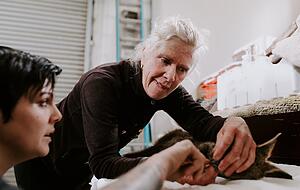 ...  ihre Tochter Kerstin Schweth in New South Wales, wo diese eine Auffangstation für Wildtiere betreibt. ...  ihre Tochter Kerstin Schweth in New South Wales, wo diese eine Auffangstation für Wildtiere betreibt.