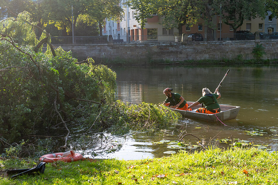 Umgestürzte Weide wird aus dem Wasser geholt
