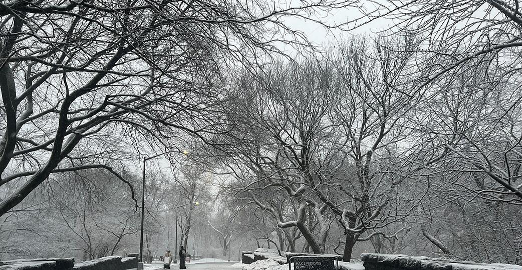 In New York legt der viele Schnee das öffentliche Leben lahm. In New York legt der viele Schnee das öffentliche Leben lahm.