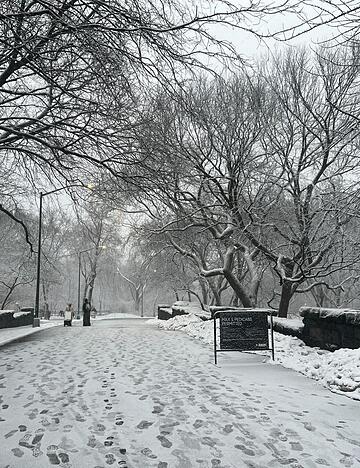 In New York legt der viele Schnee das öffentliche Leben lahm. In New York legt der viele Schnee das öffentliche Leben lahm.