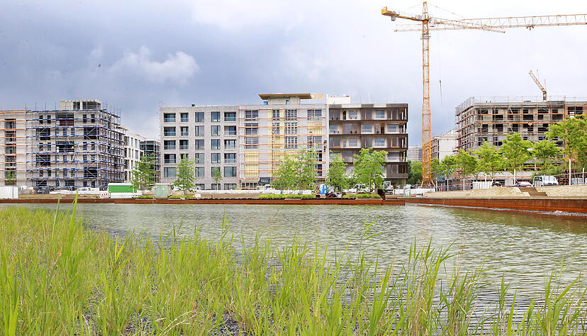 Architektenführung auf Buga-Gelände