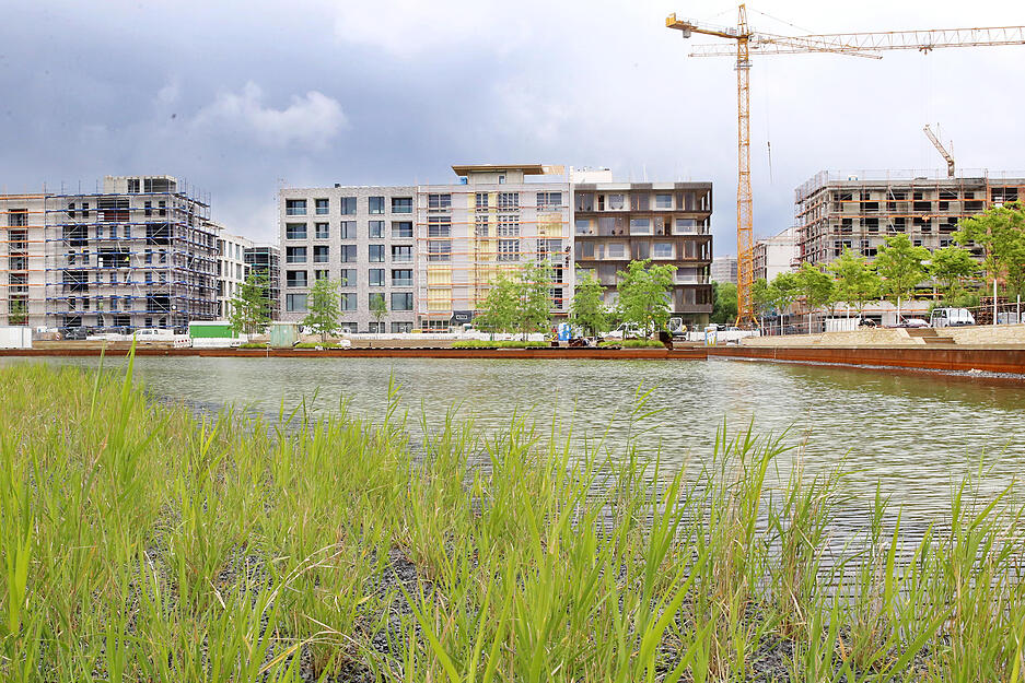 Architektenführung auf Buga-Gelände