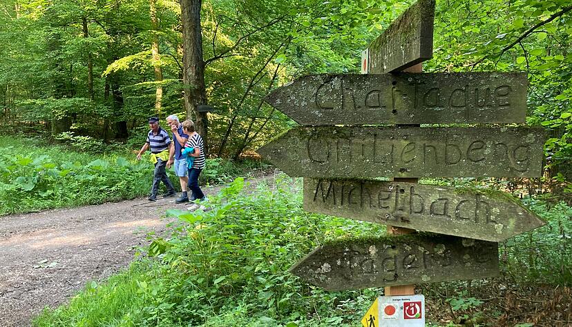 Quo vadis, Eppinger Hardwald? Neben der Naherholung k&ouml;nnte bald auch die Energiegewinnung hier im Vordergrund stehen. Wie auch immer: Das Thema bewegt die Gem&uuml;ter.