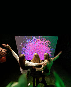 Kunstwerke zum Eintauchen: "Monets Garten" ist eine Erlebnisreise durch die Geschichte und Werke des K&uuml;nstlers.