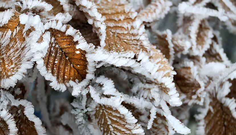 Für den ersten Advent sagte der Deutsche Wetterdienst (DWD) vielerorts Frost und Glätte vorher. (Symbolfoto) Für den ersten Advent sagte der Deutsche Wetterdienst (DWD) vielerorts Frost und Glätte vorher. (Symbolfoto)