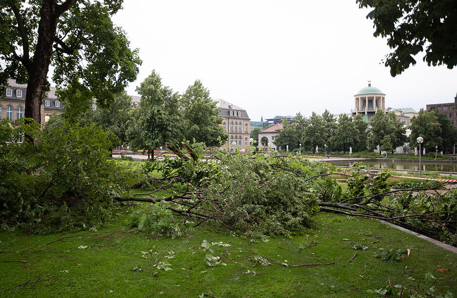 Umgestürzte Bäume liegen im Stadtpark.