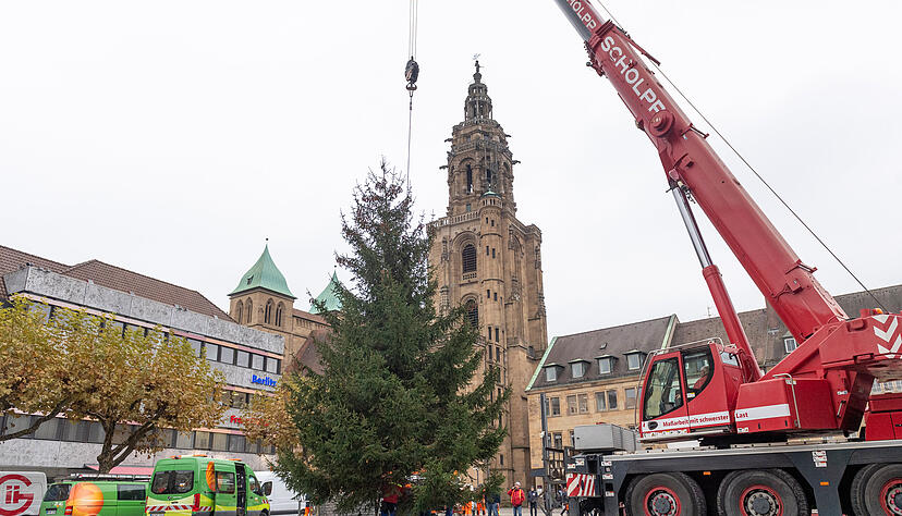 Alle Jahre wieder: Am Mittwochvormittag wurde der Weihnachtsbaum auf dem Heilbronner Marktplatz aufgestellt. Alle Jahre wieder: Am Mittwochvormittag wurde der Weihnachtsbaum auf dem Heilbronner Marktplatz aufgestellt.