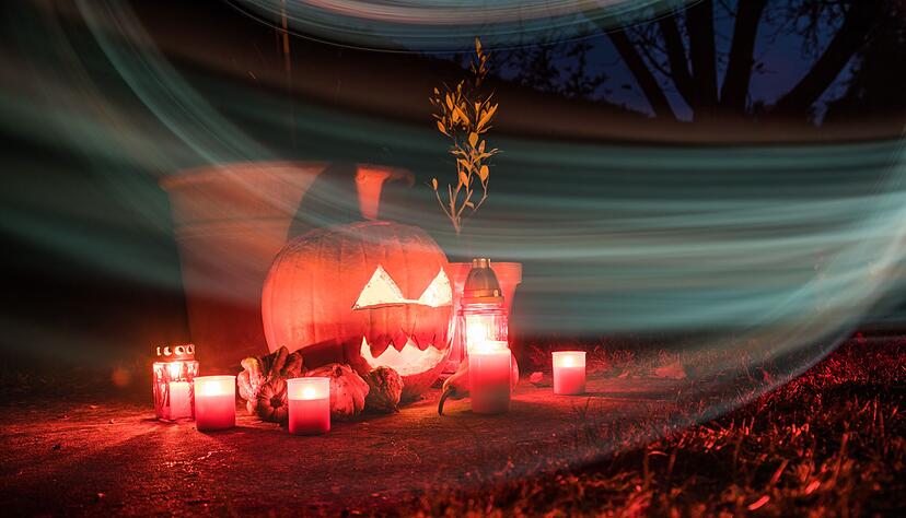 Damit der K&uuml;rbis auch noch an Halloween schaurig sch&ouml;n aussieht, gibt es beim Aush&ouml;hlen und Schnitzen einiges zu beachten.