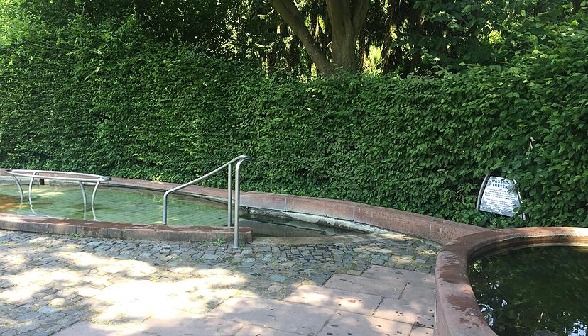 Foto: Wieland Foto: Wieland