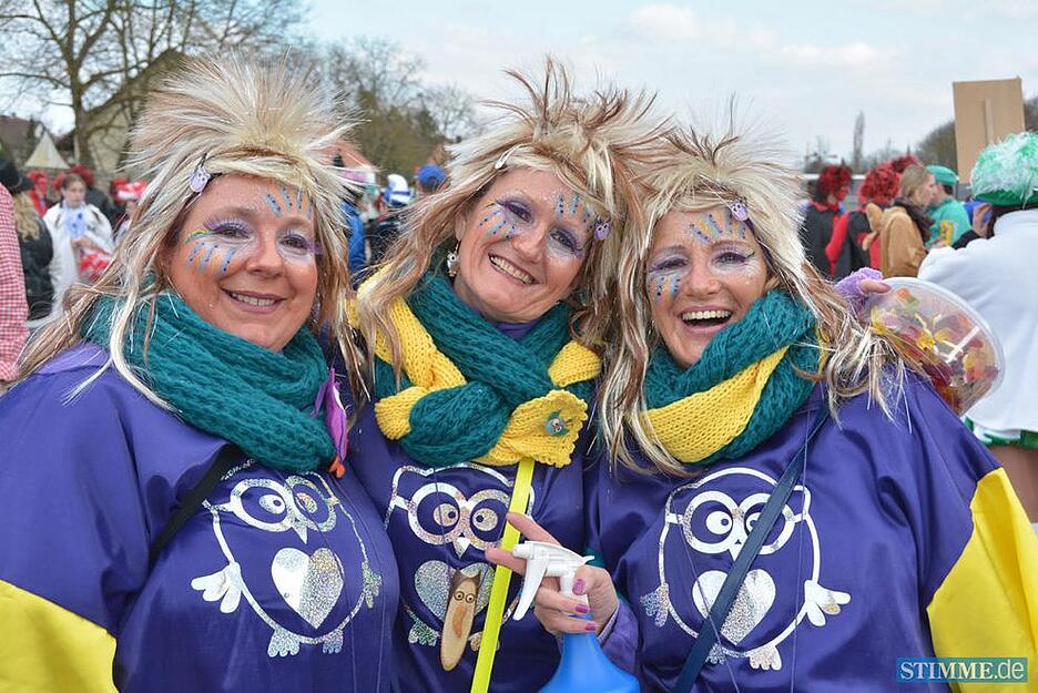 Faschingsumzug Bad Wimpfen I | 02.03.