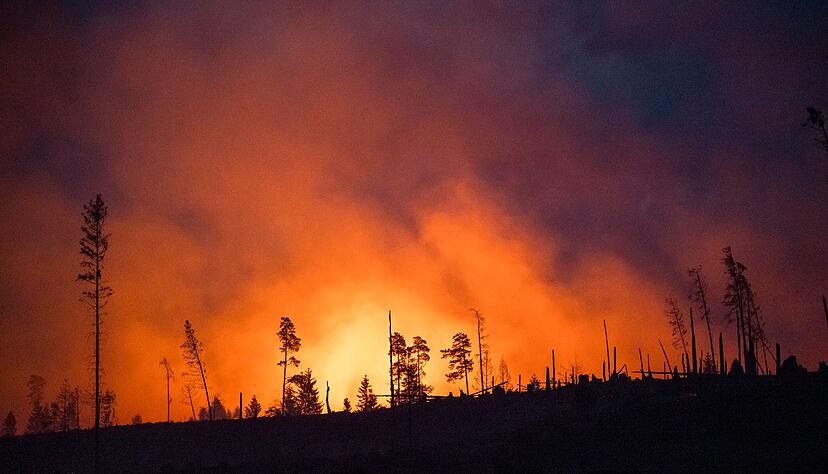 Waldbrände fachen mit ihren Emissionen die Erderwärmung zusätzlich an. (Illustraiton) Waldbrände fachen mit ihren Emissionen die Erderwärmung zusätzlich an. (Illustraiton)