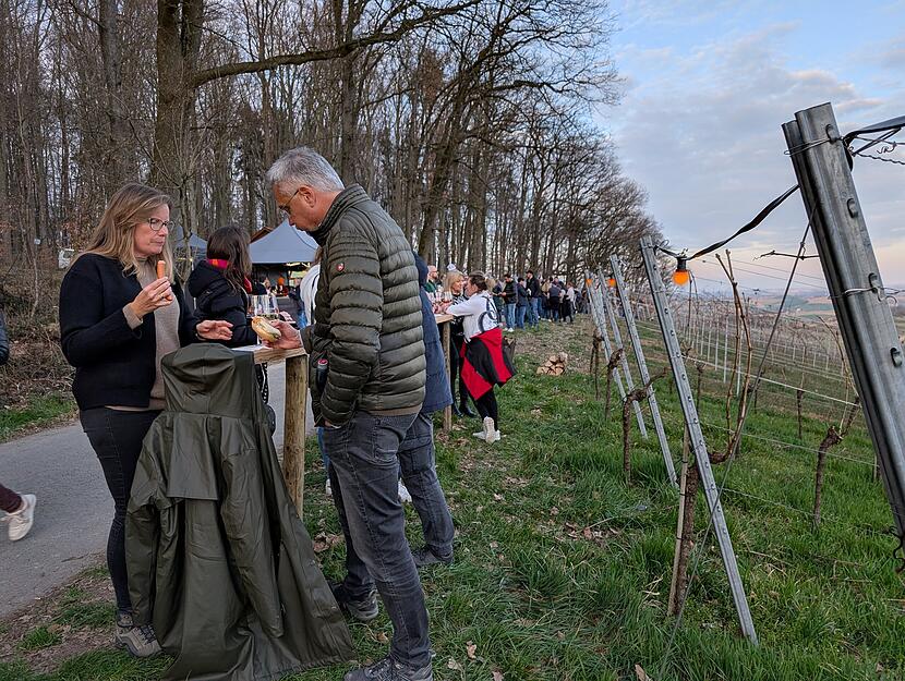 Mit Essen und Weinglas durch die Weinberge wandern. Beim Rebenglühen 2025 ging es für die Besucher durch das Siebeneicher Himmelreich.