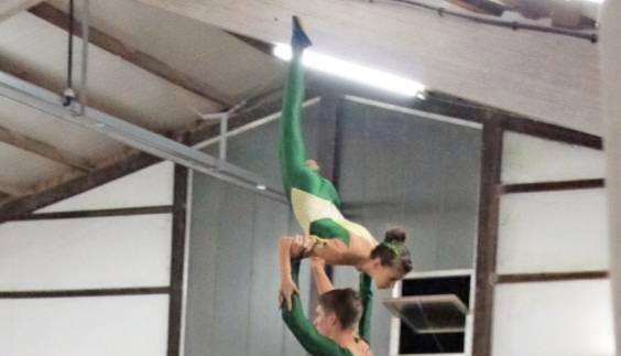 Ganz oben: Die Ilsfelder Voltigierer turnen sich an die Spitze.Foto: privat