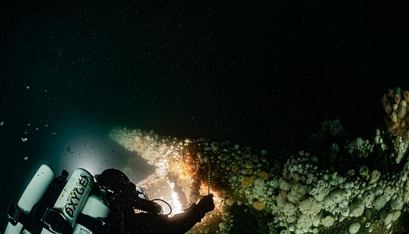 Beim Untergang am 11. März 1915 kamen fast 200 Seeleute ums Leben. Beim Untergang am 11. März 1915 kamen fast 200 Seeleute ums Leben.