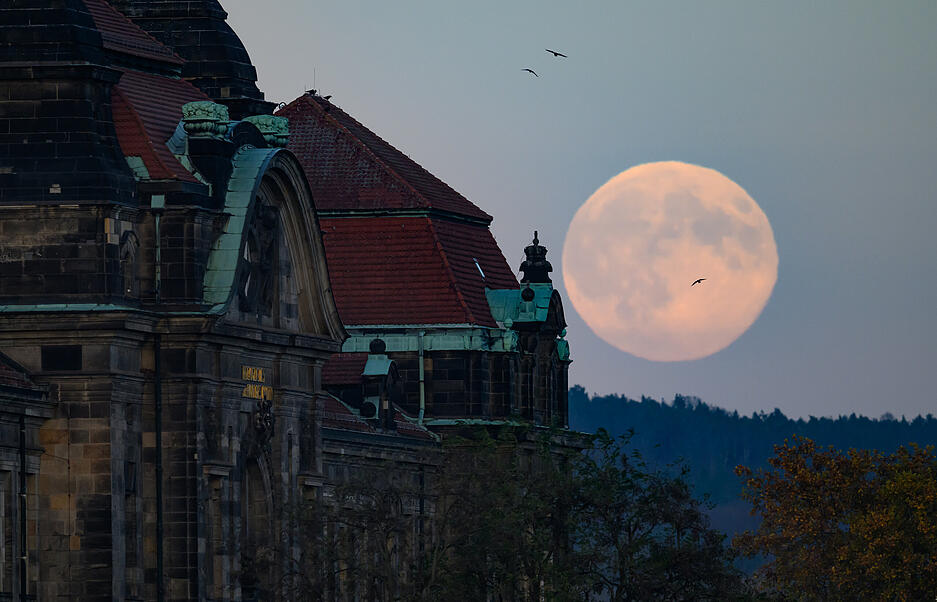 Der Vollmond ging schon am Nachmittag hinter der Staatskanzlei in Dresden auf. Der Vollmond ging schon am Nachmittag hinter der Staatskanzlei in Dresden auf.