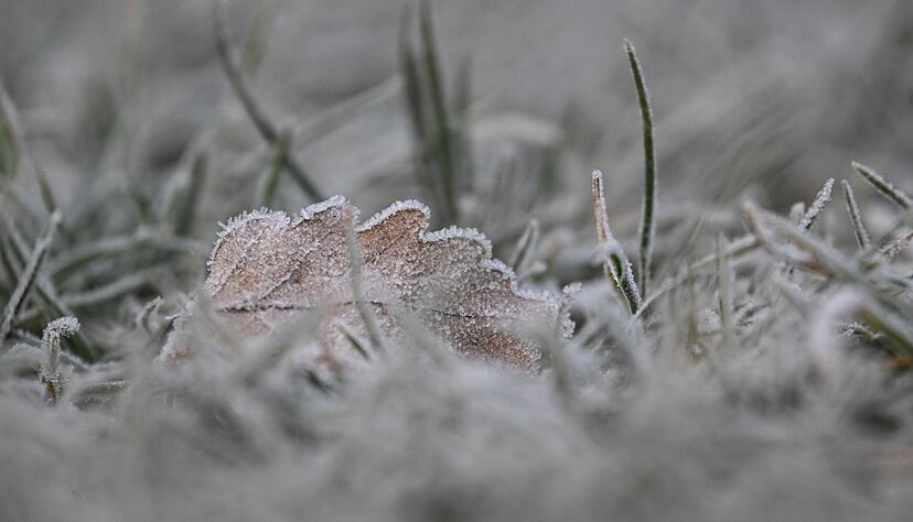 Vielerorts bleibt es schneefrei an Weihnachten - aber es kann Reif geben.