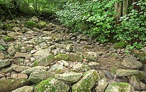 Sehr wenig Wasser ist derzeit auch in den Bachbetten − hier im Holderbach, einem Seitenbach der Jagst an der Kreisgrenze bei Eberbach. Sehr wenig Wasser ist derzeit auch in den Bachbetten − hier im Holderbach, einem Seitenbach der Jagst an der Kreisgrenze bei Eberbach.