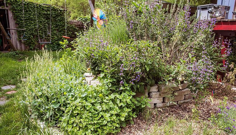 Unterschiedliche Pflanzen, unterschiedliche Bed&uuml;rfnisse: Eine Kr&auml;uterspirale arbeitet mit verschiedenen B&ouml;den.