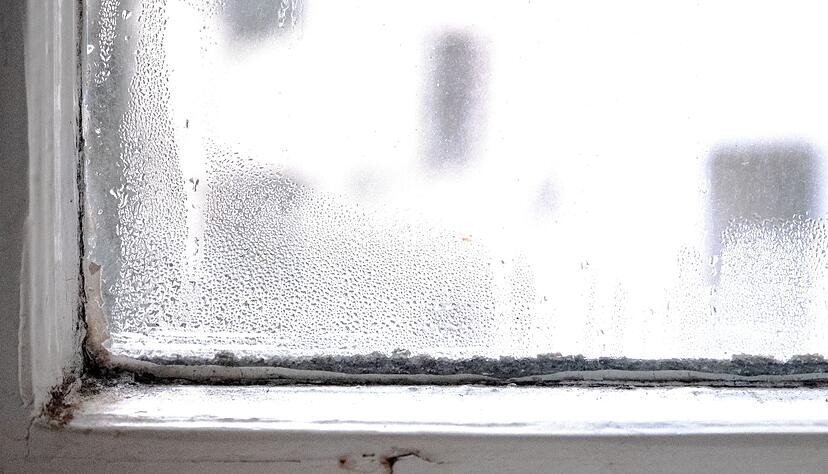 In Ihrer Wohnung schimmelt es ohne Eigenverschulden? Ist Ihre Gesundheit dadurch in Gefahr, können Sie die Miete senken. In Ihrer Wohnung schimmelt es ohne Eigenverschulden? Ist Ihre Gesundheit dadurch in Gefahr, können Sie die Miete senken.