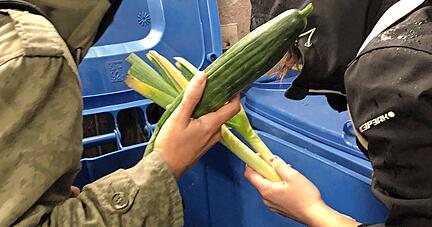 Zu schade für die Tonne, aber zu schlecht für den Verkauf: Um diese Lebensmittel gibt es bisher oft Streit.
Foto: dpa Zu schade für die Tonne, aber zu schlecht für den Verkauf: Um diese Lebensmittel gibt es bisher oft Streit.
Foto: dpa