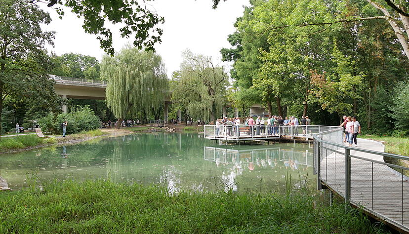 Der Ententeich im Stadtpark wurde im September 2024 eingeweiht.