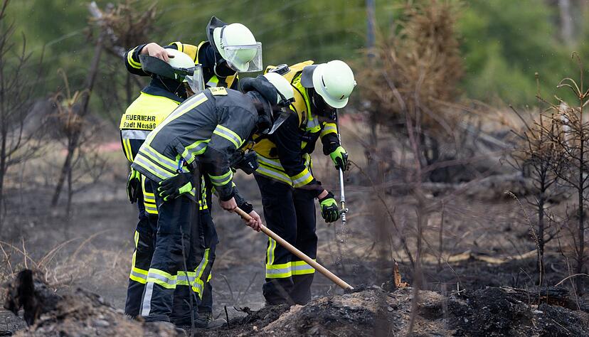 Versteckte Glutnester werden die Feuerwehrleute noch einige Tage nach dem Waldbrand auf der Saalfelder Höhe beschäftigen. Versteckte Glutnester werden die Feuerwehrleute noch einige Tage nach dem Waldbrand auf der Saalfelder Höhe beschäftigen.
