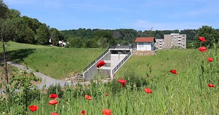 Damit das Wasser aus der Klinge bei Starkregen hier im Hochwasserrückhaltebecken landet, soll deren Verlauf verändert werden.
Foto: Tamara Ludwig