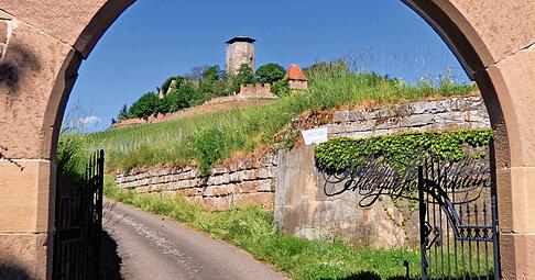 Das Tor gibt einen schönen Blick auf die Burg Hohenbeilstein frei. Sie ist wie in ein Wäldchen eingebettet.