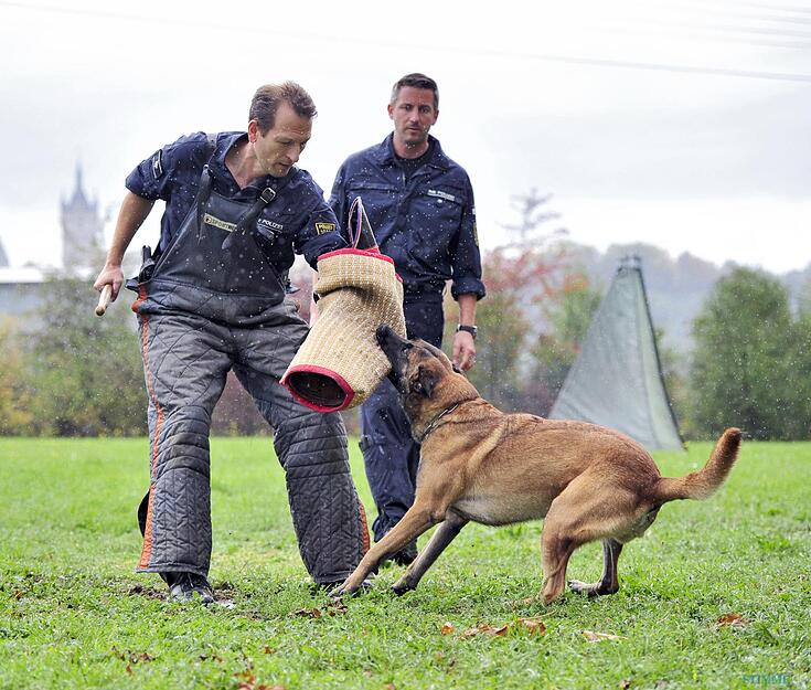 Polizeihundstaffel Offenau Polizeihundstaffel Offenau
