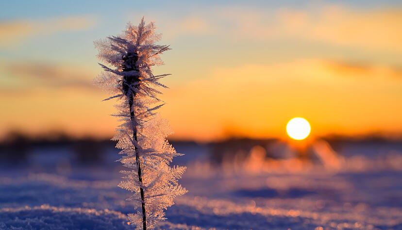 Die Sonne hat deutlich mehr Stunden eingesammelt als im Vergleichszeitraum. (Archivbild)