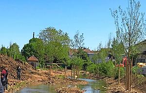 Erlebnisraum Wasser: Die Elsenz umspült jetzt kleine Inselchen. Erlebnisraum Wasser: Die Elsenz umspült jetzt kleine Inselchen.