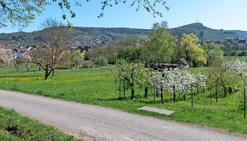 Das Gebiet "Salzberg" in Anschluss an die Frankenstraße in Eschenau soll als nächstes Wohnbaugebiet entwickelt werden.
Foto: Mario Berger