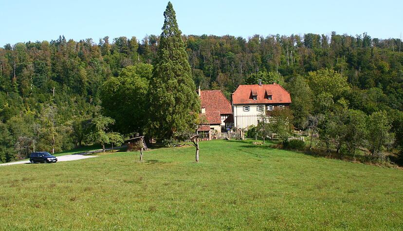 Das Sterben im Sehnsuchtsort Wald Das Sterben im Sehnsuchtsort Wald